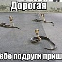 ���� ���������, �����, 53 ���� - ��������� 27 ���� 2015 � ������ ���� ����������