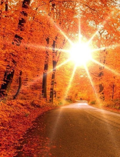   |  |  - 30  2015  22:40