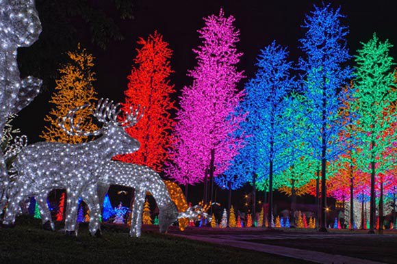 i-City - ��������� ����� ������������ ����� � �������� - 5