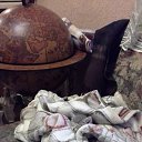 ���� ������, ������, 61 ��� - ��������� 25 ������� 2015 � ������ ���� ����������