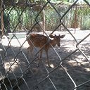    -  ,  -  31  2015   .  2015.  .  6-.