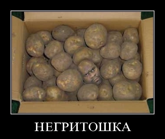   - 1  2015  13:59