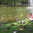 ���� ����, ������, 57 ��� - ��������� 9 ������� 2015