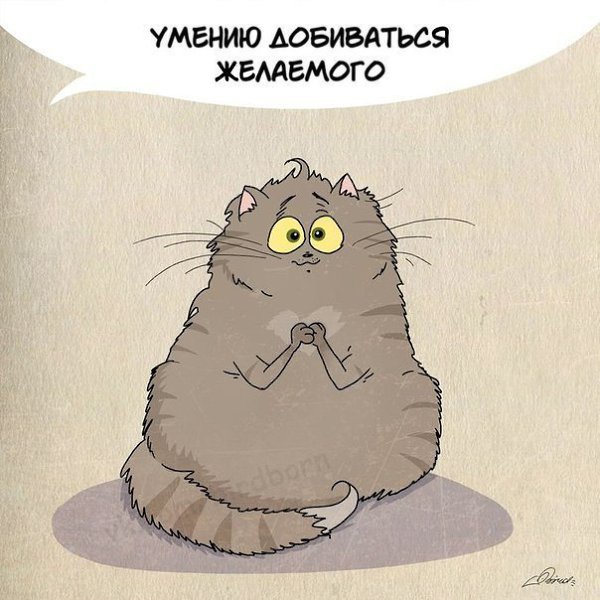        - 5