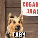 ���� ������, ����� - ��������� 10 ���� 2015 � ������ ������ ��������