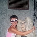 ���� �����, ���� - ��������� 9 �������� 2015 � ������ ���� ����������