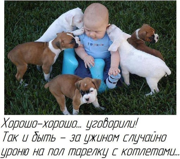 ������ - 18 ������� 2015 � 20:10