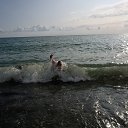 ���� �������, �����-���������, 49 ��� - ��������� 27 ���� 2015 � ������ ���� ����������