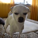 ���� ����, �����-���������, 35 ��� - ��������� 19 ���� 2015 � ������ ���� ����������