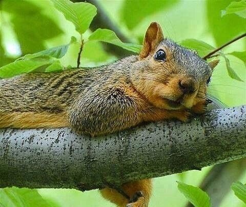   - 19  2015  18:15 - 2