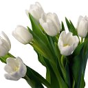 ���� �����, ������ ��� - ��������� 15 ��� 2015 � ������ �����ۻ