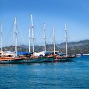 ���� �������, ���������, 67 ��� - ��������� 23 ������� 2015 � ������ ���� ����������