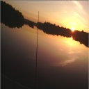 ���� ������, ����, 49 ��� - ��������� 31 ��� 2015 � ������ ���� ����������