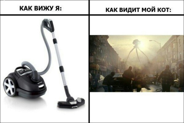      - 29  2015  14:43