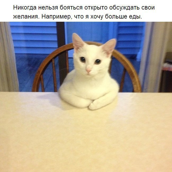  -  - 28  2015  12:23