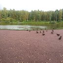 ���� �����, ������, 54 ���� - ��������� 19 �������� 2015 � ������ ��������