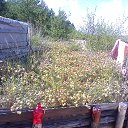 ���� ��������, ���� - ��������� 27 ������ 2015 � ������ ���� ����������