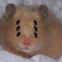 ���� ������, ������, 31 ��� - ��������� 28 ���� 2015 � ������ ���� ����������