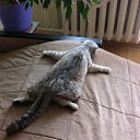 ���� �������, ����, 55 ��� - ��������� 7 ���� 2015 � ������ ���� ����������