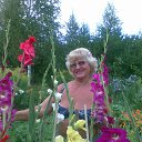 ���� �����, �����-���������, 77 ��� - ��������� 22 ���� 2015 � ������ ���� ����������