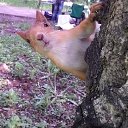 ���� �������, �����������, 56 ��� - ��������� 1 ���� 2015 � ������ �������