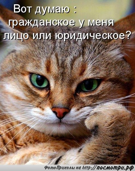 ��� ���� � ����� �� �� - 5 �������� 2015 � 21:01