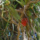 ���� �����, ������, 55 ��� - ��������� 7 ������� 2015 � ������ ���� �����