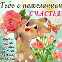 ���� �����, ��������� - ��������� 6 �������� 2015 � ������ ���� ����������