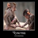���� ����, ����������� - ��������� 20 ��� 2015 � ������ �����������