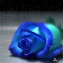 ���� �exman, ������, 51 ��� - ��������� 16 ���� 2015