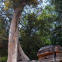 ������� � ����� �� ������� ���������