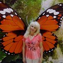 ���� ���������, ���������� - ��������� 28 ���� 2015 � ������ ���������� ������