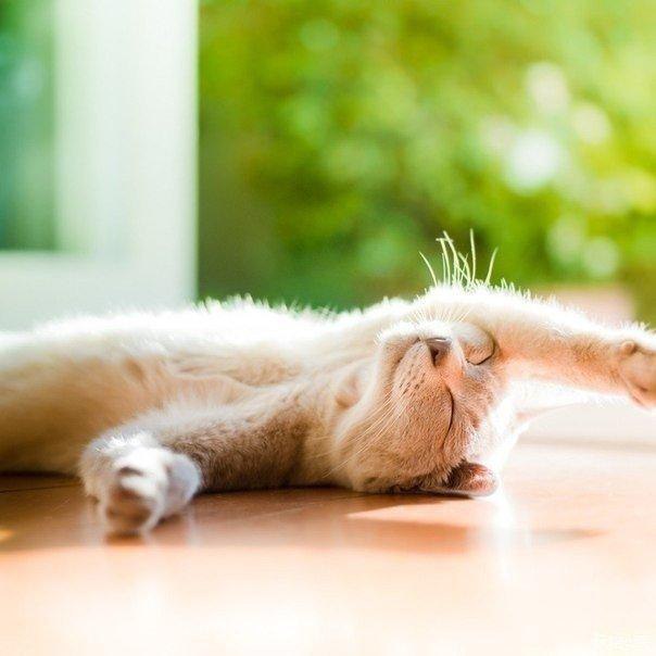 ...�������� ���� ������� ���� :) - 2