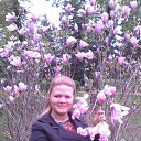 ���� �����, ������, 37 ��� - ��������� 5 ��� 2015 � ������ ���� ����������