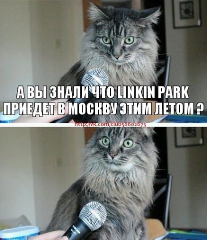 ������ - 7 ��� 2015 � 23:42