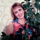 ���� �����, ������ - ��������� 12 ������� 2015 � ������ ���� ����������