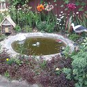 ���� ����, �������, 50 ��� - ��������� 19 ������� 2015 � ������ ���� ����������