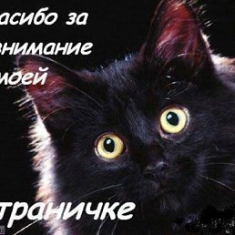 ���� ������, ������ - ��������� 12 ������� 2015