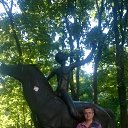 ���� ����, ������, 42 ���� - ��������� 12 ������� 2015 � ������ ���� ����������