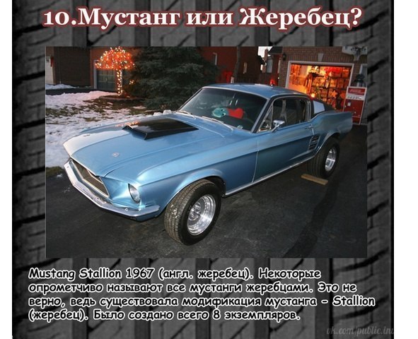    Muscle Car. - 9