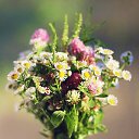 ���� ������, ���������, 37 ��� - ��������� 11 ������� 2015 � ������ ������ ��������