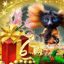 ���� ��������, ���� - ��������� 11 ���� 2015 � ������ ������ ��������