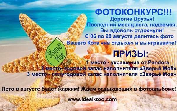 Фотоконкурс