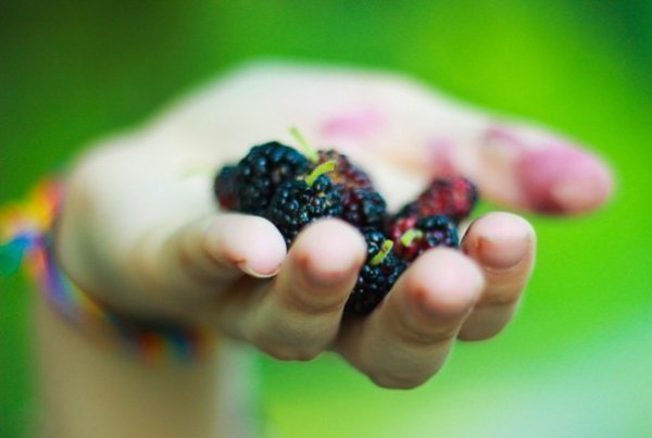 10 продуктов, по которым можно соскучиться за границей.1. Бородинский и дарницкийПервое, что можно ... - 9