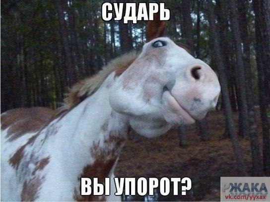 �������� ������ � ������ - 3 ��� 2015 � 13:42