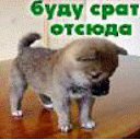 ���� ���������, ������, 47 ��� - ��������� 16 ���� 2015 � ������ ���� ����������