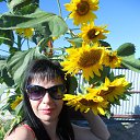 ���� �����, �������, 39 ��� - ��������� 22 ���� 2015 � ������ ����� 2015 ������