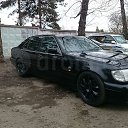 ���� �������, �����-���������, 41 ��� - ��������� 18 ���� 2015 � ������ ���� ����������