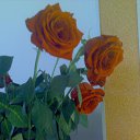 ���� Guzel, ��� - ��������� 20 ��� 2015 � ������ ���