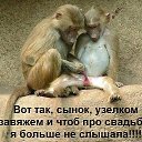 ���� �������, ���������� ����� - ��������� 30 ���� 2015 � ������ �������